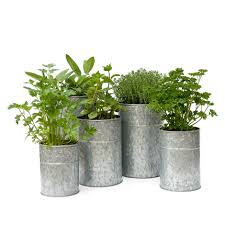 Buy Galvanised metal planters - set of 5: Delivery by Crocus
