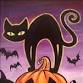 Halloween Cat - A HAUNT FOR THE WHOLE FAMILY! event image