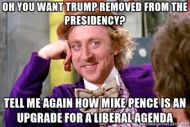 Pic 1 Im Not Sure Trump Haters Really Thought This One Through Meme Guy