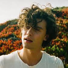From miley cyrus and lady gaga to bella thorne and beyoncé, we're feeling hella. Shawn Mendes Long Curly Dishevelled Hairstyle
