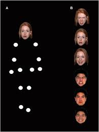 Frontiers | Physiological Response to Facial Expressions in Peripersonal  Space Determines Interpersonal Distance in a Social Interaction Context