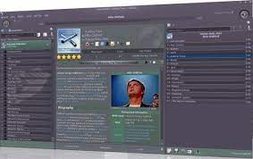Why is music so universally cherished? 7 Best Itunes Alternatives To Manage Your Music Collection