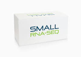 Quick biology's service and technical support have been instrumental for the success of our research, from sample prep to delivery of the results. Small Rna Seq Library Prep Kit Lexogen