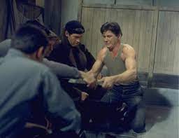 02:23 bronson plays fo danny wolenski (the tunnel king), a polish raf pow pilot who is a professional tunnel maker but has a deep secret. Charles Bronson