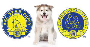 We did not find results for: Dog Training Orange County Lake Forest Ca Pup Up Hooray