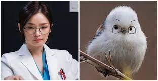 지난 2일 '슬기로운 의사생활' 4화에서는 밴드를 결성한 이익준(조정석 분), 안정원(유연석 분), 채송화(전미도 분), 김준완(정경호 분), 양석형(김대명 분)이 별장에 함께 모여 캐논 락버전을 연주하는. ì†Œë¦„ ì „ë¯¸ë„ê°€ ìŠ¬ê¸°ë¡œìš´ ì˜ì‚¬ìƒí™œ ë‚˜ì˜¬ ìˆ˜ë°–ì— ì—†ì—ˆë˜ ì´ìœ  ìœ„í‚¤íŠ¸ë¦¬