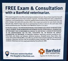 Maybe you would like to learn more about one of these? Bamboozled Dog Owner Blindsided By Surprise Bill For Free Exam Nj Com