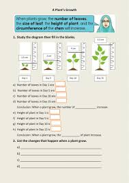 Earth processes, weather, animals and life cycles, plants, vegetable, plant life cycles, change of state of matter, heat flow, mammals, vertebrates & invertebrates, fish, reptiles, classification. A Plant S Growth Worksheet