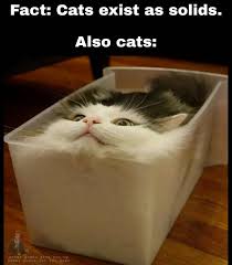 Download Our Free App In Bio And Play With Your Friends Bvlshed Memes Joke Comedy Jokes Dailymeme Laugh Lalaughing Vines Funny In 2020 Cats Dumb Cats Memes