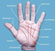 Want To Be Richer More Successful And Live Longer Palm Surgery Is On The Rise In Japan As People Carve New Lines Into Their Hands In Bid To Improve Their Fort