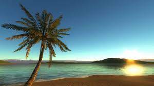 We did not find results for: Beach Background Video Loop 1280x720 Download Hd Wallpaper Wallpapertip