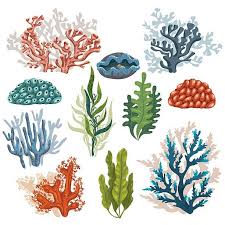 Simple Sea Life Art Coral Art Underwater Plants Coral Drawing