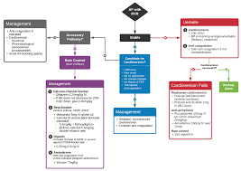 Image result for Ventricular Fibrillation Management in the Adult