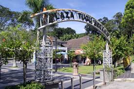 So it might naturely grow in there or somebody did indeed planted in. National Monument In Kuala Lumpur Attractions Wonderful Malaysia