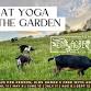 Goat Yoga in the Garden