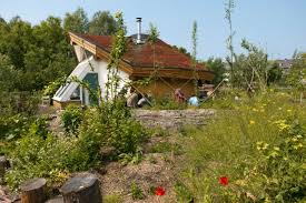 Bildergebnis für Nils Norman