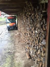 Become a member and join the hoarders globe ! Firewood Storage Firewood Hoarders Club