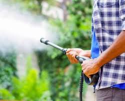 Set the spray nozzle such a way so that it sprays water in the broader approach. Can I Use A Pressure Washer To Clean Or Spray Trees Davey Tree