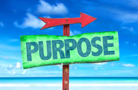 Exchange and registration rights agreement. Finding Purpose Outside The Llc Agreement New York Business Divorce