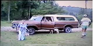 Image result for TNT Orange 1977 Ford Fleet