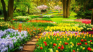 A new online experience, caring, freer, and more inclusive. Quelle Est L Origine Du Mot Printemps
