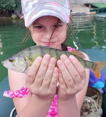 Fishing Rod Review and Discussion