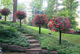 Pin Von April Leigh Smeraldo Auf Jardin Garten Garten Deko Pflanzen