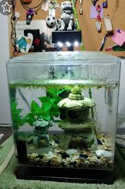 Pin By Maja Manojlovic On Meaning Of Inspiration Snail Tank Fish Tank Betta Tank