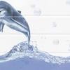 Indian bathroom wall tiles design. 1