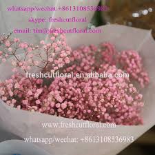 We did not find results for: Soft Sell Drying Flowers With Silica Gel Derivable All The Time For Flowers In Wedding Bouquets Buy Natural Preserved Rose Flowers Cheapest Wholesale Fresh Preserved Flowers Natural Overlasting Fresh Best Preserved Flowers Product