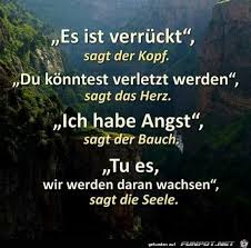 Es Ist Verr Ckt Sagt Der Kopf Funny Quotes True Words German Quotes