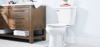 They can be designed for a sitting position popular in europe and north america with a toilet seat. Toilets Find Affordable Styles For Big Small Bathrooms Mansfield Plumbing