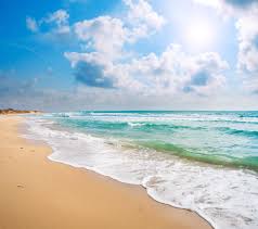 Beach Background Gallery Yopriceville High Quality Images And Transparent Png Free Clipart