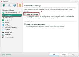 How To Enable Disable Self Defense In Kaspersky Anti Virus 2013