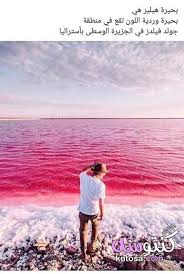 صورة ومعلومة تويتر معلومة وفائدة بالصور معلومات عامه معلومة مفيدة معلومه غريبه kntosa com 29 19 155 photo around the worlds world
