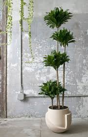 Finally 20 Oversized Planters Worthy Of Your Fiddle Leaf Plant Decor Plant Decor Indoor Floor Plants