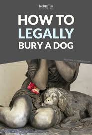 In most areas, it isn't legal. How To Bury A Dog Legally When Your Canine Companion Passes Away