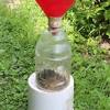 Best selling japanese beetle traps in 2019. 1