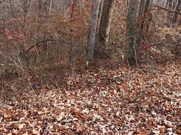 Check spelling or type a new query. Smithville Tn Land Lots For Sale 177 Listings Zillow