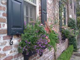 Linda's boxes get plenty of sun all day and her windows open up, so she can do a beautiful mix of verbena, petunias, and white snow mountains. 11 Of The Best Flowers For Window Boxes