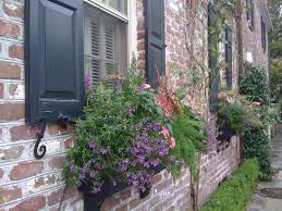 It's important to know if the box is in full sun or shade, and then select plant materials that work together. 11 Of The Best Flowers For Window Boxes