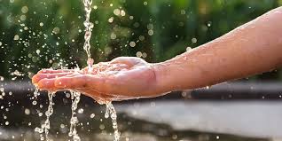 Check spelling or type a new query. Sustained Water Supply Saves Resources Zf