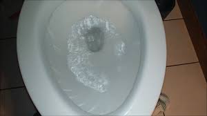 We did not find results for: American Standard Champion 4 Max 1 28 Gpf Toilet Flushing Real Life Review 615356 2586 128st 020 Youtube