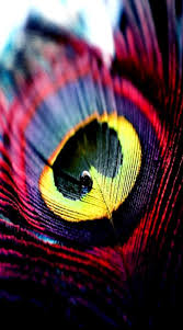 3d Wallpaper For Android Mobile Free Download Allwallpaper Android Wallpaper Feather Wallpaper Android Wallpaper Live