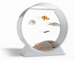 Small led lamp desktop mini fish tank aquarium 7 colors light for study office. If It S Hip It S Here The Latest In Global Design And Creativity