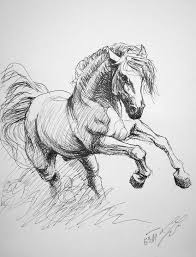 Pin By Shirley Jones On Drawing In 2020 Animal Drawings Sketches Pencil Drawings Easy Animal Drawings