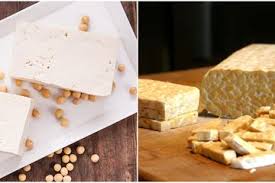 Maybe you would like to learn more about one of these? Bosan Makan Telur Setiap Hari 7 Makanan Ini Juga Tinggi Protein Bahkan Lebih Tinggi Dari Telur Semua Halaman Bobo