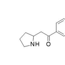 Image result for Ruspolia australis