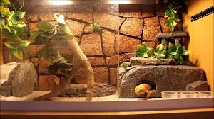 Pin On Vivarium