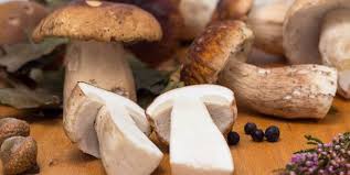 Eliminate la base con un coltello, raschiate il gambo per rimuovere tutti i residui di terra 1 e, infine, strofinate delicatamente con un panno umido 2. Funghi Porcini 20 Ricette Per Tutti I Gusti Greenme
